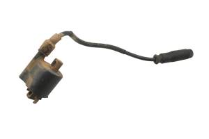 Kawasaki - 12 Kawasaki Brute Force 750 4x4i Ignition Coil KVF750 - Image 1