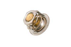 Kubota - 11 Kubota RTV900XTW Thermostat - Image 2