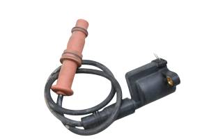 Polaris - 13 Polaris Ranger 500 4x4 Midsize Ignition Coil - Image 1