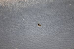 Kawasaki - 19 Kawasaki Mule 4010 4x4 Seat Bottom Cushion KAF620MKF - Image 4