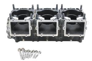 Polaris - 02 Polaris Genesis I 1200 Crankcase Center Crank Case - Image 1