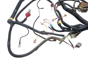Bombardier - 03 Can-Am Rally 175 200 2x4 Wire Harness Electrical Wiring Bombardier - Image 2