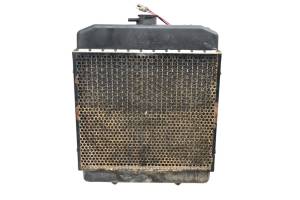 Arctic Cat - 06 Arctic Cat 650 H1 4x4 Radiator & Screen - Image 1