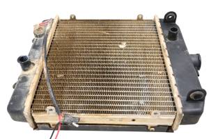 Arctic Cat - 06 Arctic Cat 650 H1 4x4 Radiator & Screen - Image 3