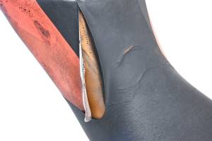 Bombardier - 03 Can-Am DS650 Baja 2x4 Seat Bombardier - Image 4