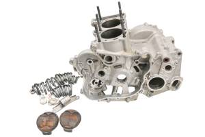 23 Aprilia RS 660 Crankcase Center Crank Case & Cylinders 4T 8V E5 ABS