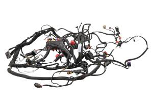 22 Can-Am Ryker Rally 900 Wire Harness Electrical Wiring