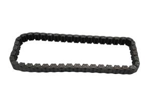 Polaris - 97 Polaris Sportsman 500 4x4 Transmission Silent Chain - Image 2