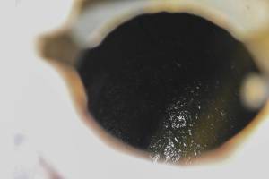 Honda - 77 Honda Odyssey 250 Gas Tank & Fuel Petcock FL250 - Image 7