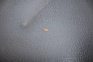 Kubota - 16 Kubota RTV-X1100CW Passenger Seat Bottom Cushion - Image 4