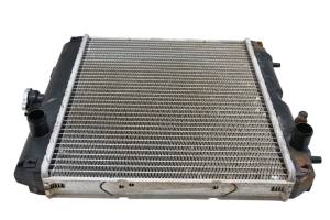 Kubota - 16 Kubota RTV-X1100CW Front Radiator - Image 3