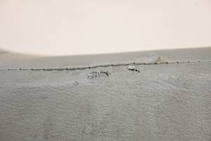 Polaris - 22 Polaris PRO XD Mid-Size Seat Bottom Cushion - Image 6