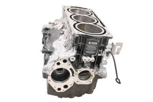 Sea-Doo - 13 Sea-Doo GTX Limited iS 260 Crankcase Center Crank Case & Cylinders - Image 4