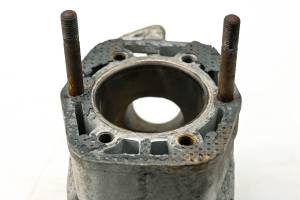 Arctic Cat - 84 Arctic Cat El Tigre 6000 Cylinder 115.92" - Image 3