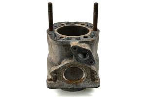 Arctic Cat - 84 Arctic Cat El Tigre 6000 Cylinder 115.92" - Image 3