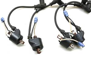 Arctic Cat - 07 Arctic Cat F8 EFI Sno Pro Ignition Coils 128" - Image 3