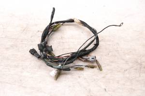 Yamaha - 96 Yamaha Blaster 200 2x4 Wire Harness Electrical Wiring YFS200 - Image 1