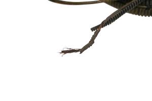 Polaris - 16 Polaris RZR 570 4x4 Wire Harness Electrical Wiring For Parts - Image 5