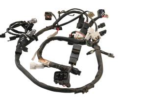 Suzuki - 04 Suzuki Ozark 250 2x4 Wire Harness Electrical Wiring LTF250 - Image 3