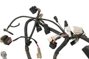 Suzuki - 04 Suzuki Ozark 250 2x4 Wire Harness Electrical Wiring LTF250 - Image 4