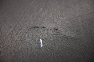 John Deere - 19 John Deere Gator XUV835E Passenger Side Seat Back Cushion & Bracket - Image 4