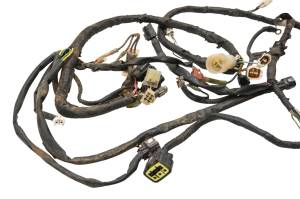 Yamaha - 01 Yamaha Raptor 660 2x4 Wire Harness Electrical Wiring YFM660R - Image 3