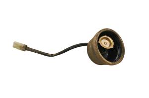 Can-Am - 10 Can-Am DS90 Headlight Socket - Image 1