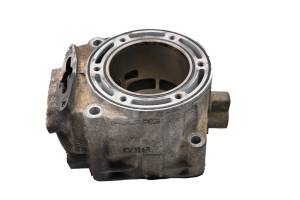 08 Polaris 700 IQ HO Cleanfire Cylinder 121"