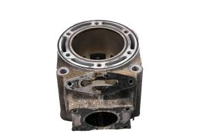 Polaris - 08 Polaris 700 IQ HO Cleanfire Cylinder 121" - Image 2