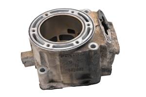 Polaris - 08 Polaris 700 IQ HO Cleanfire Cylinder 121" - Image 3