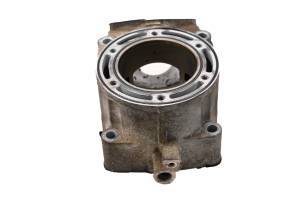 Polaris - 08 Polaris 700 IQ HO Cleanfire Cylinder 121" - Image 4