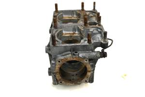 Arctic Cat - 84 Arctic Cat El Tigre 6000 Crankcase Center Crank Case 115.92" - Image 5