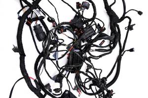 BMW - 16 BMW F700GS Wire Harness Electrical Wiring - Image 3