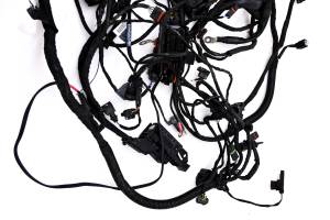 BMW - 16 BMW F700GS Wire Harness Electrical Wiring - Image 4