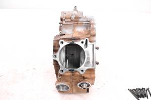 Arctic Cat - 08 Arctic Cat 700 EFI 4x4 Crankcase Center Crank Case - Image 2