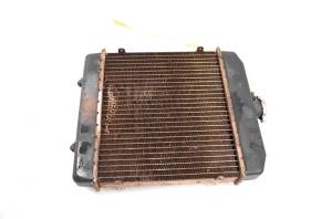 Arctic Cat - 07 Arctic Cat 650 H1 FIS 4x4 Radiator & Coolant Hoses - Image 3