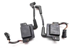 Ski-Doo - 12 Ski-Doo Renegade Back Country X 800R E-TEC Ignition Coils 137" - Image 2