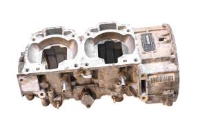 13 Ski-Doo MXZ TNT 600 HO E-TEC Crankcase Center Crank Case 120"