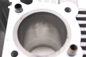 Niche - 07 Polaris Sportsman 90 2x4 Cylinder Niche - Image 5