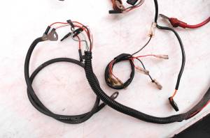 Polaris - 93 Polaris 250 4x4 Wire Harness Electrical Wiring - Image 2