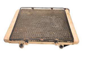 13 Kawasaki Mule 4010 Diesel 4x4 Radiator KAF950D