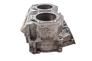 Ski-Doo - 14 Ski-Doo Renegade Back Country 800R E-Tec Cylinder 137" - Image 2