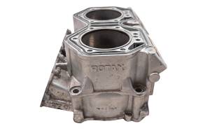 Ski-Doo - 14 Ski-Doo Renegade Back Country 800R E-Tec Cylinder 137" - Image 4