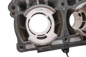 Ski-Doo - 14 Ski-Doo Renegade Back Country 800R E-Tec Cylinder 137" - Image 7