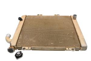 Kawasaki - 21 Kawasaki Teryx KRX 1000 Radiator KRF1000 - Image 3