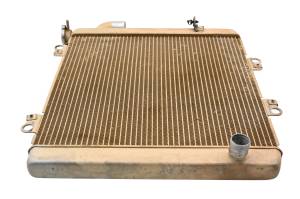 Kawasaki - 21 Kawasaki Teryx KRX 1000 Radiator KRF1000 - Image 5