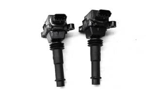 Polaris - 04 Polaris MSX 110 Ignition Coils - Image 1