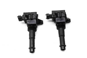 Polaris - 04 Polaris MSX 110 Ignition Coils - Image 3