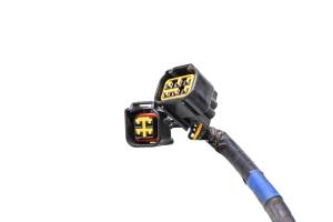 Honda - 05 Honda CRF250R Wire Harness Electrical Wiring & Ignition Coil - Image 2