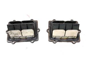 01 Polaris Virage 3-Pass Reed Valves